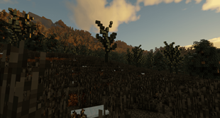2026-09-25_15.13.01(2)(1).png