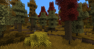 Seasonal Deciduous