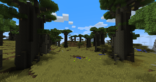 Baobab Savanna