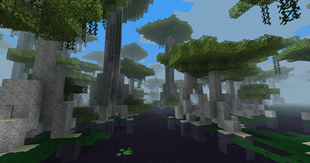 Cypress Swamplands