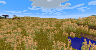 Prairie