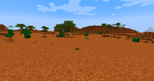 Red Desert