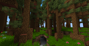 Redwood Tropics