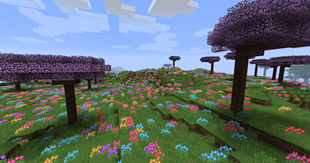Amaranth Fields