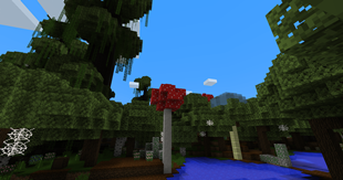 Ancient Forest