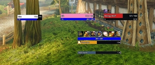 Combat HUD
