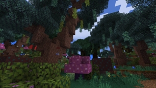 magical forest