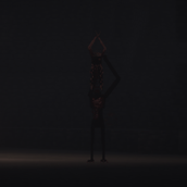 HIM
