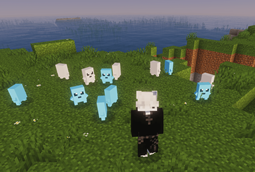 image-attachment_7b9ed9a5-81d2-4760-8ed0-8cbdbe6783e0.png