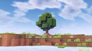 Screenshot 22