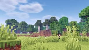 Screenshot 23