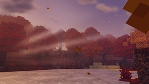 Screenshot 21