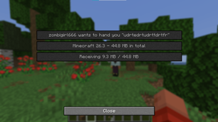 The player 2's Accept/Decline menu