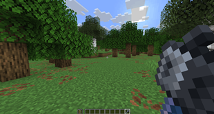 HIDE_WHEN_IDLE
