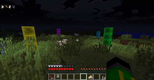 Blocks in the Night