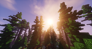 World Generation 