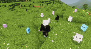 image-attachment_d3e8fc16-c608-4628-8eff-2dc629ea4e9d.png