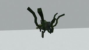 Rupture