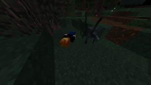 Some idiot died here