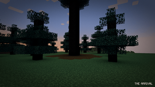 between the trees