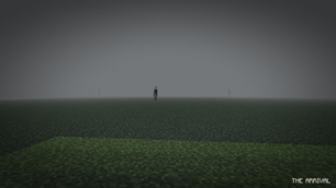 the visitor world
