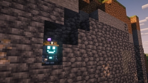 Dig