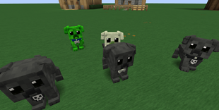 Screenshot 2026-09-19 011337.png