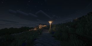 Night path