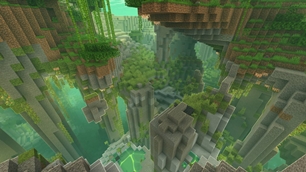 Jungle during daytime