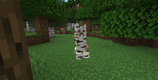 birch_creeper.png