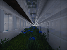 Grass Hallway