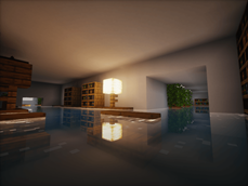 Overflowed House