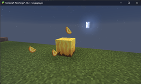 Melon