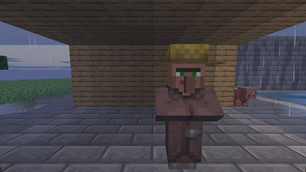 Wet villager