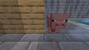 Dripping pig