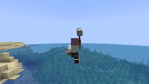 Third person view of flight