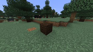 Dirt II