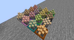 power_flowers.png