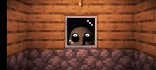 Window?