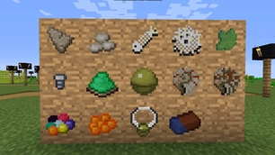 Items: