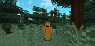 Idle anim