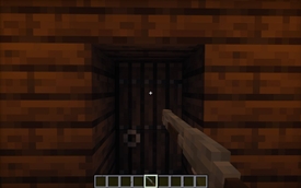 First-person view (right hand)
