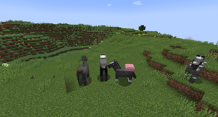 Legacy Horse Hat Placement