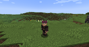 3D Skin Layers Compat