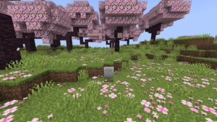 Graves