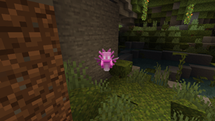 Axolotl.png