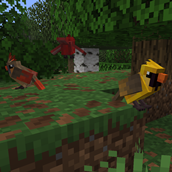 Rare yellow variant (xanthochromism)