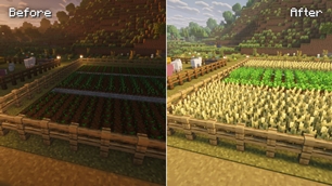 Crops grow overnight