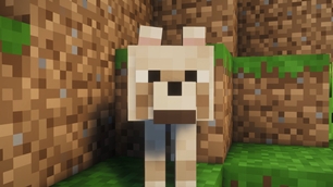Muffin