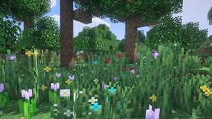 another landscape